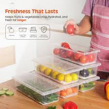 6 Pcs Food Storage Container With Removable Drain Plate And Lid Fridge Storage Box Stackble Plastic Freezer Storage Containers To Keep Fresh For Fish, Meat, Vegetables, Fruits Etc., Fridge Boxes, Fridge Storage, [1500ml, Pack Of_6]